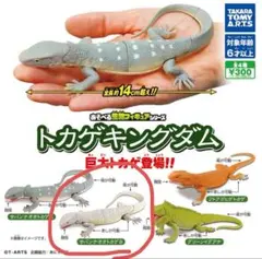 Item thumbnail for item 5cad1070-7c51-443f-ac7e-ce292684041b