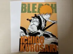 BLEACH アートカードコレクション黒崎一護