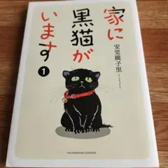家に黒猫がいます 1