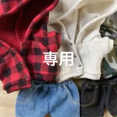 専用