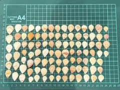 Item thumbnail for item ca83f7f2-a72f-4bbc-a37c-0d3421af53ae