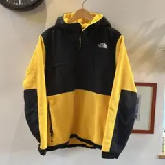 THE NORTH FACE デナリ　フーディ　プルオーバー　日本未発売
