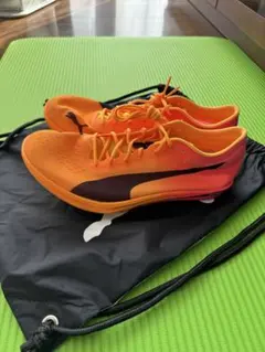 2026年最新】エヴォスピードディスタンスニトロエリートの人気アイテム