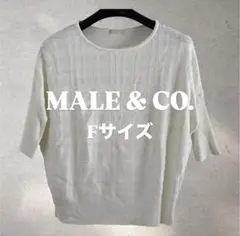 Item thumbnail for item 21527741-0551-4d28-a05e-be0f3594b22c