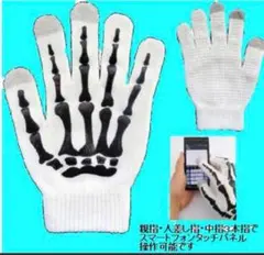 Item thumbnail for item 631ffd0f-9e62-455d-91c7-ce1ed0b6f3de