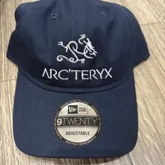 2025年最新】paper & ink arc'teryxの人気アイテム - メルカリ