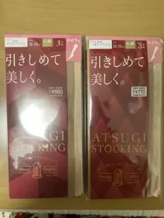 Atsugi ストッキング 22-25cm 2個セット