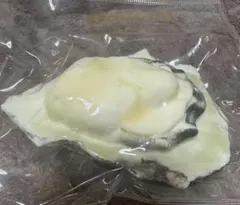 【早い者勝ち】dodomi 牡蠣 スクイーズのサムネイル
