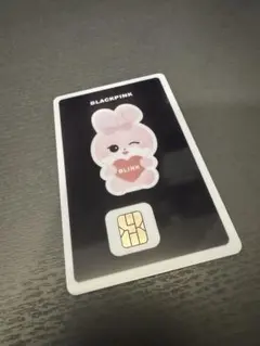 BLACKPINK JISOO ジス SOOYA NAMANEカード 韓国限定