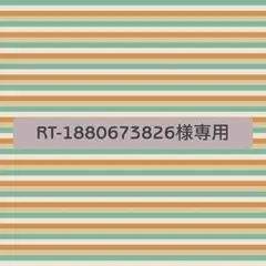 RT-1880673826様専用です
