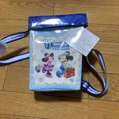 東京ディズニーリゾート バケーションパッケージ ポップコーンバケット