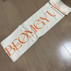 tomorrow×together ボムギュ　promise ライブツアータオル