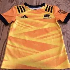 サントリーサンゴリアス　アカデミー　シャツ