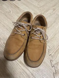 Item thumbnail for item 2d21d7f4-fc4f-4fa5-9e4f-588867970eab