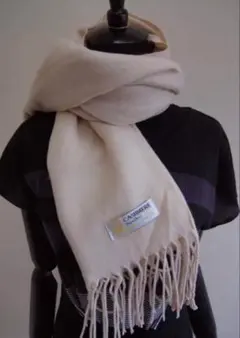 Item thumbnail for item 988a703e-de28-49c1-9727-7b7a56d6e3ee