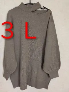 大きいサイズ 新品 3L ベージュ ニット・セーター オフショルダー
