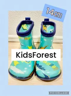 Kids Forest 長靴 恐竜柄 レインブーツ 14cm 男の子 青