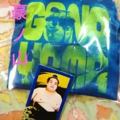 Item thumbnail for item 40c213c3-71f4-4580-a8d9-b11d13b9d3b6