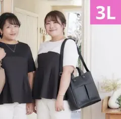しまむら　ブラウス 重ね着風ビスチェプルオーバー Hina×KOMACHI3L白のサムネイル