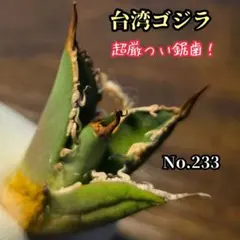 kj様 リクエスト 2点 まとめ商品