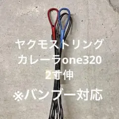 Item thumbnail for item 6723b0c2-4041-422f-b59c-c66c9aa0abc0