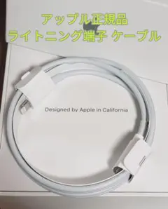 新品　Apple純正 USB-C to Lightning ケーブル アップル