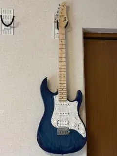 FUJIGEN テレキャス ケース付き エレキギター テレキャスタータイプ フジゲン」の人気商品一覧 | 安い