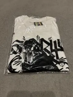 TERRY THE AKI-06 半袖Tシャツ　Sサイズ　ジャパレゲ