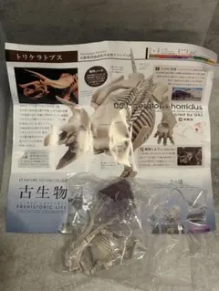 ぷてらのどん様 リクエスト 2点 まとめ商品