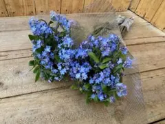 Rino様 リクエスト 2点 まとめ商品