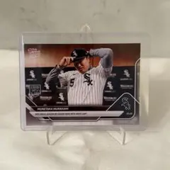 Item thumbnail for item 77ef31d4-4d4e-4489-89b6-3136e6ec238b