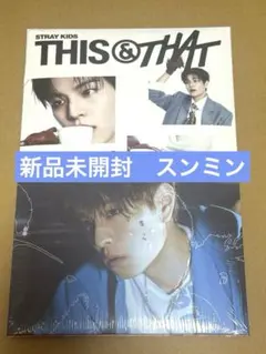 新品未開封 Straykids THIS & THAT &VER. スンミン