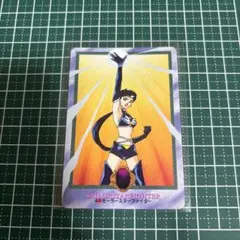 美少女戦士セーラームーン セーラースターズ トレカ 当時物 カードダス 