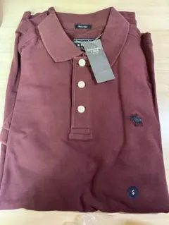 Abercrombie & Fitch ポロシャツ S