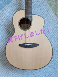 ★ラージサイズ版★aNueNue Bird L10 Large Size Anuenue Bird L10 Shipping Included Safe delivery