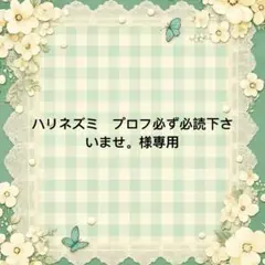 ハリネズミ　プロフ必ず必読下さいませ。 様　專用