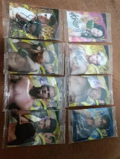 RIZINウエハース格闘技選手カード8枚セット