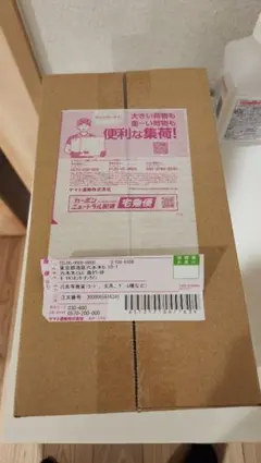 【新品未開封】ポケモンセンター フクオカ スペシャルボックス