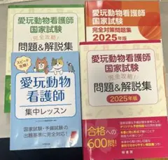 Item thumbnail for item ec1708c0-cb8a-4667-b164-6b763aed40c1