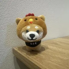 【旅するマメしば】※まとめ買い可能　名古屋