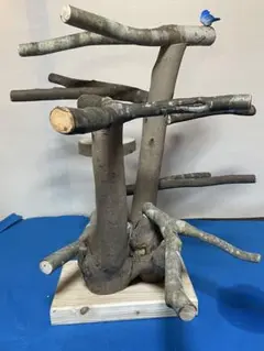 Item thumbnail for item 0fa349ad-3078-4c01-8376-f5350952c770