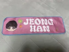 SEVENTEEN ジョンハン JEONGHAN ハンドタオル