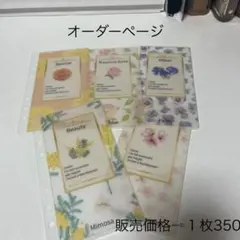 【項目、柄変更可】A6 バインダー貯金　積立　１枚350円　オーダーページ