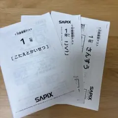 2025年最新】sapix 入室テストの人気アイテム - メルカリ