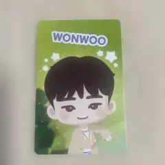 パズチ セブチ トレカ SEVENTEEN Holiday ウォヌ