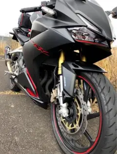 cbr250rr mc51 前輪純正ホイール&Q5Sサイズ110説明必読 2025年最新】cbr250rr mc51 ホイールの人気アイテム - メルカリ