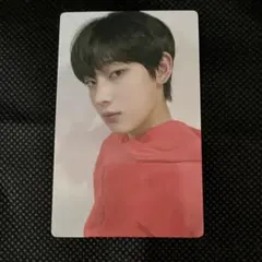 ENHYPEN エンハイプン エナイプン ペンライト ソヌ トレカ