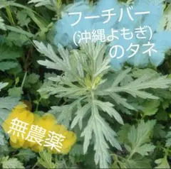 sumire様 リクエスト 3点 まとめ商品