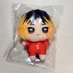 新品！ ハイキュー！ ぬいぷりけmini3 孤爪研磨 けんま