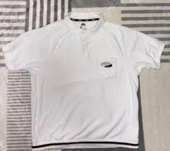 NIKE SB. ポロシャツ エスビー Lサイズ ゴルフウェアなど